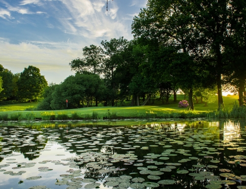 Draw for The Tour Championship sponsored by Golf Carts Europe