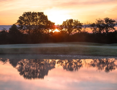 Final Results from Crondon Park